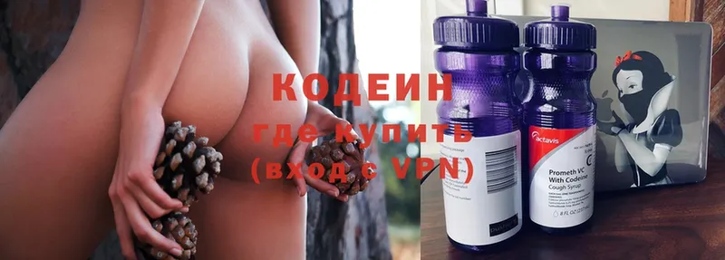 купить   Каменногорск  Кодеин напиток Lean (лин) 